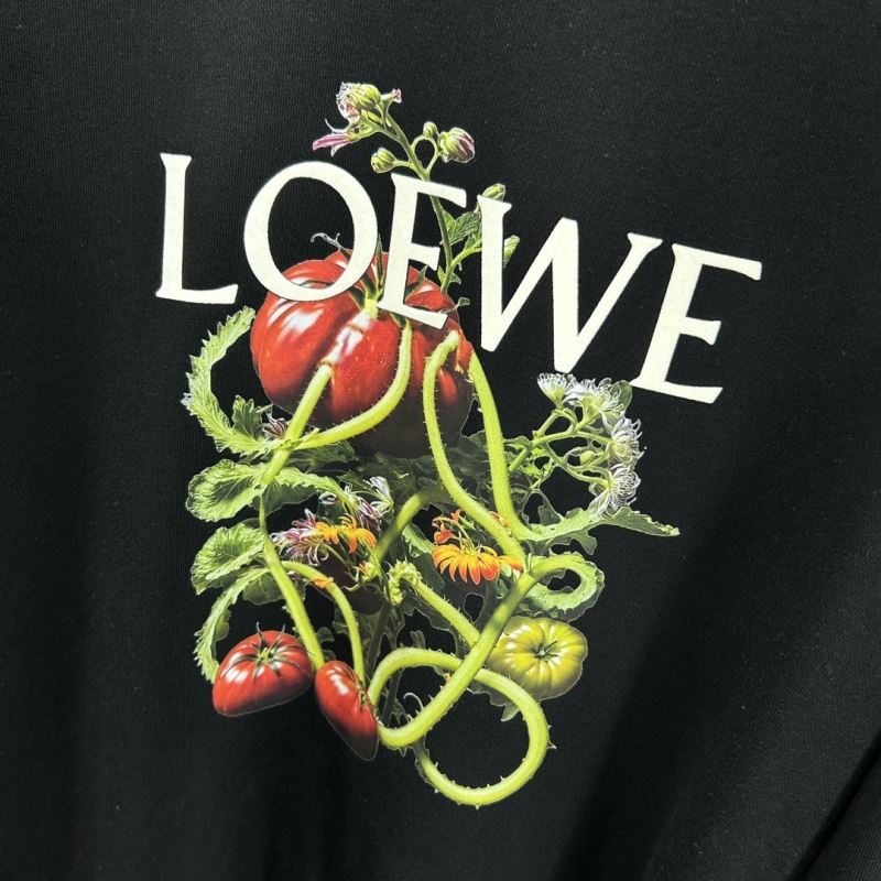 Loewe Hoodies